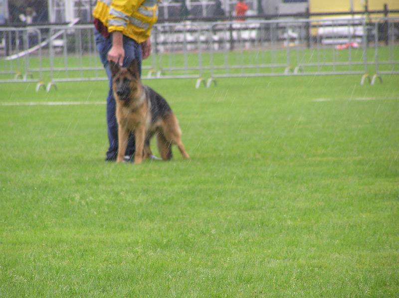 15-9-08 062.jpg
